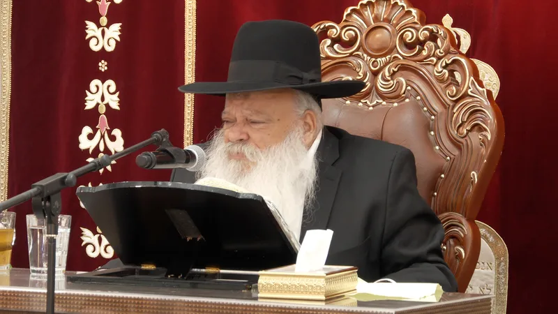 רק ככה זוכים בדין