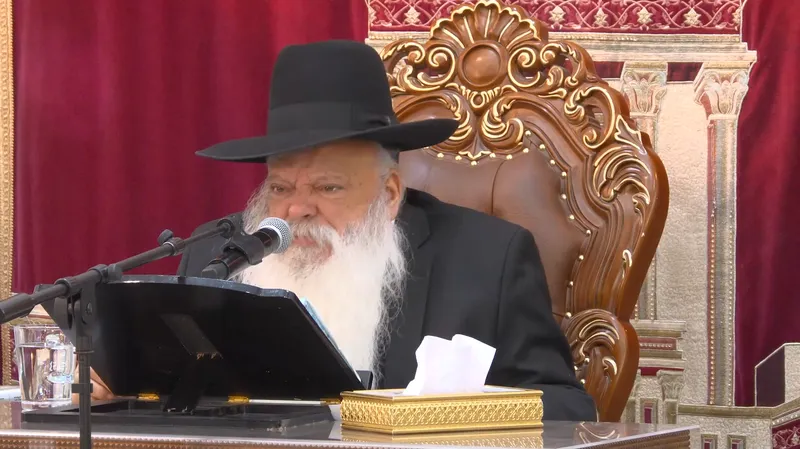 האדם העץ ומה שביניהם