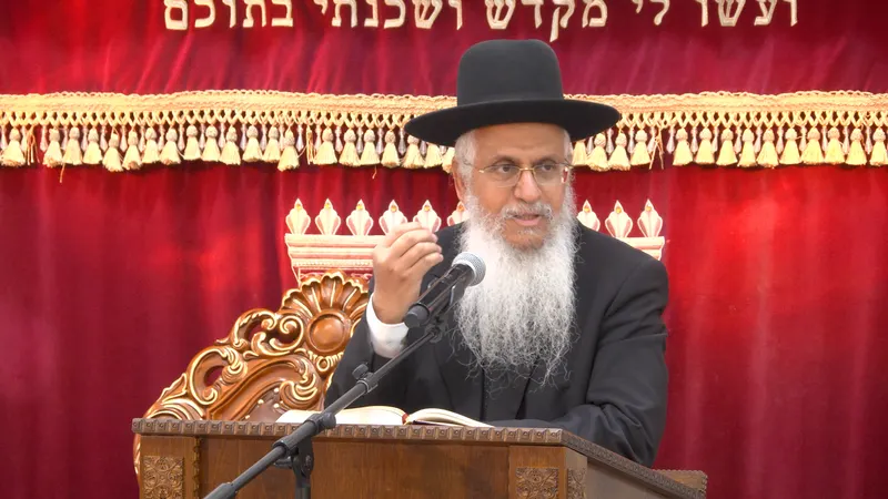 מצוות התורה בפרשת אמור חלק ד